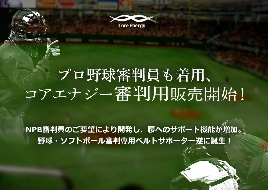 コアエナジー審判用
